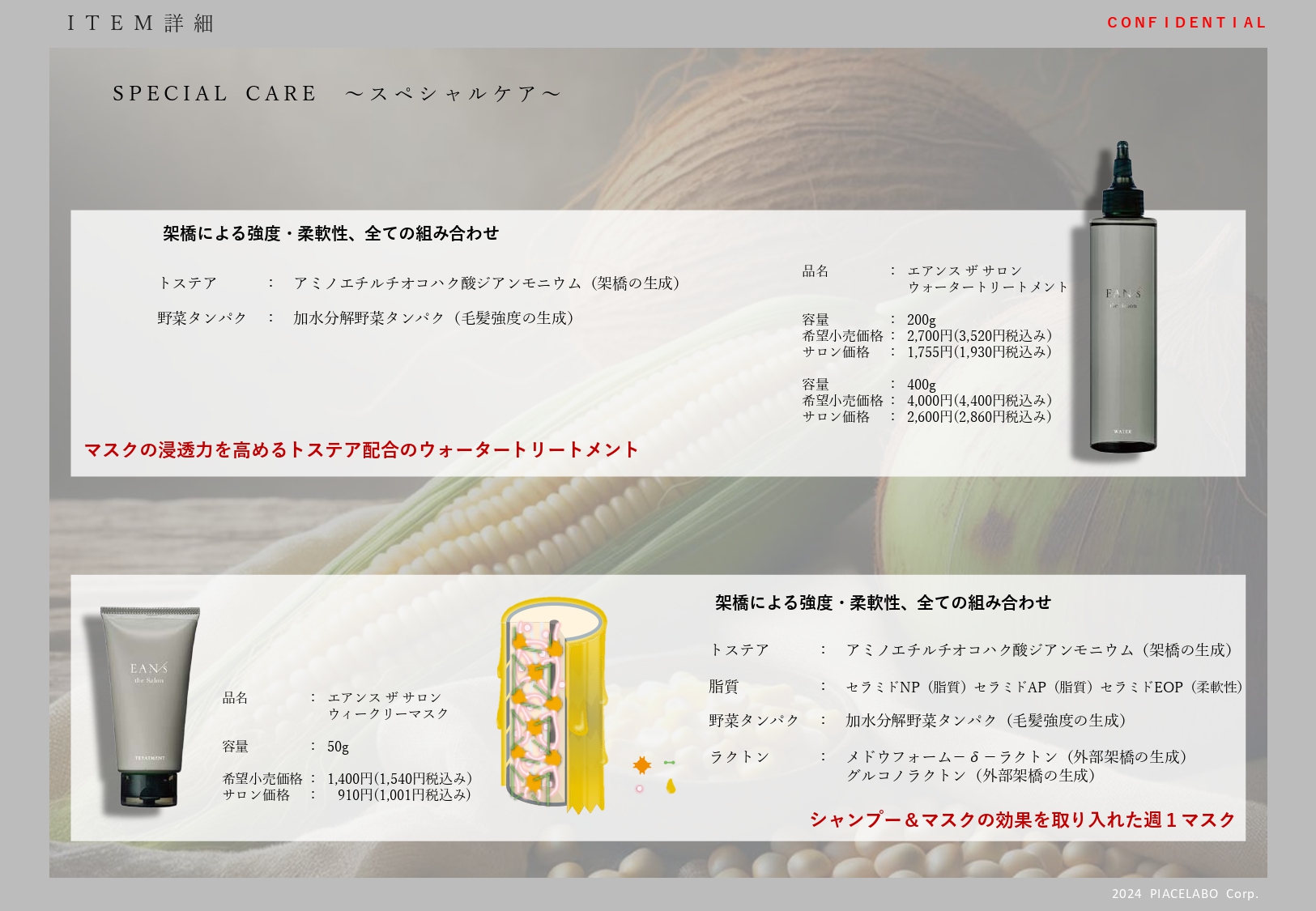 エアンス ザ サロン ヘアケア商品