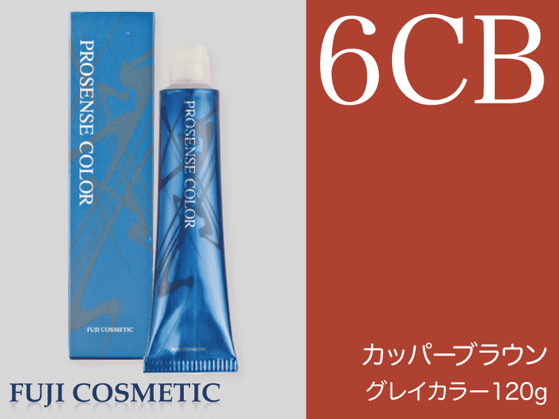 ﾌﾟﾛｾﾝｽ ｸﾞﾚｲ【6CB】ｶｯﾊﾟｰﾌﾞﾗｳﾝ 120g