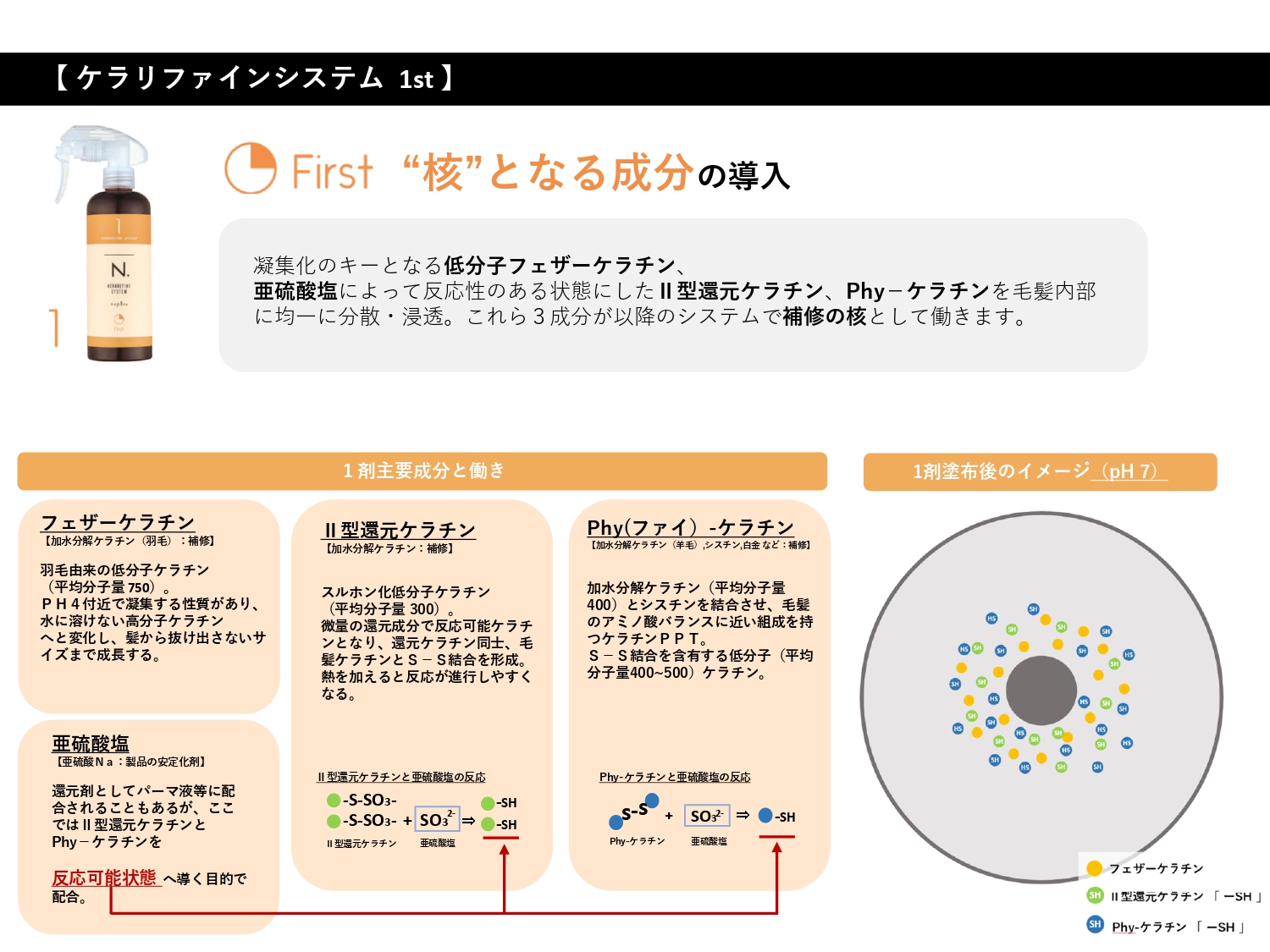 N.ｹﾗﾘﾌｧｲﾝ ｼｽﾃﾑﾄﾘｰﾄﾒﾝﾄ 【1st】 600ml(ﾘﾌｨﾙ)