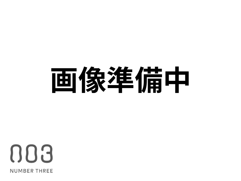 *ﾅﾝﾊﾞｰｽﾘｰｵｰｶﾞﾆｸｽ ﾎﾞｳﾙ