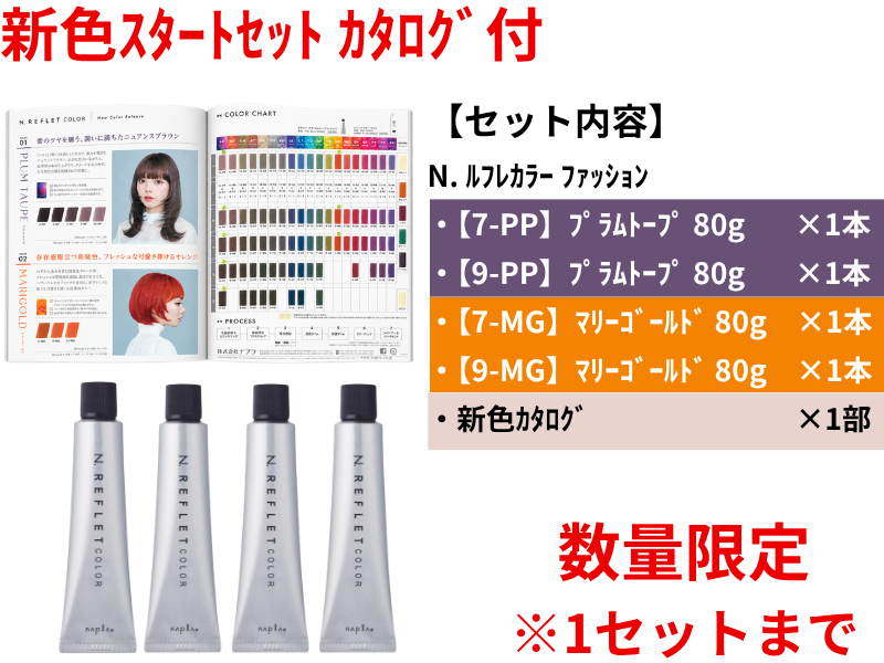 N.ﾙﾌﾚｶﾗｰ新色ｽﾀｰﾄｾｯﾄ ｶﾀﾛｸﾞ付(PP・MG)