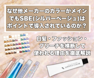 【SBE特集】メインカラーではなくてもポイントで導入される理由は？